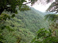 /Bilder/Orte/Costa Rica/Wasserschneide.jpg